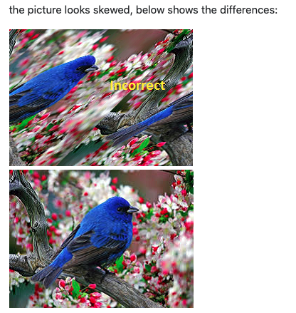 Skewed birds are no good!